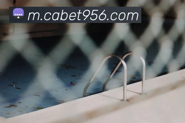 ca亚洲城APP 封面图